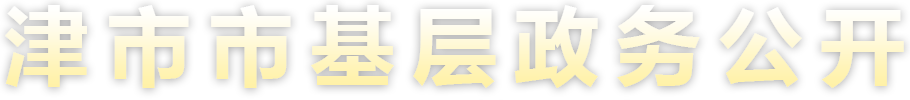 津市市基层政务公开标准化规范化专题