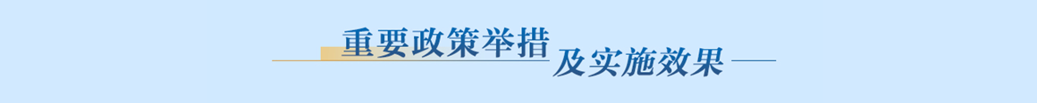 重要政策举措及实施效果