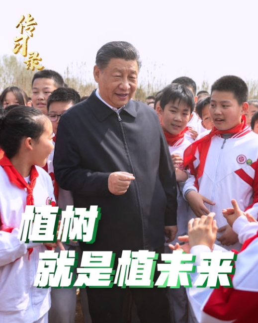 微信截图_20250312113116