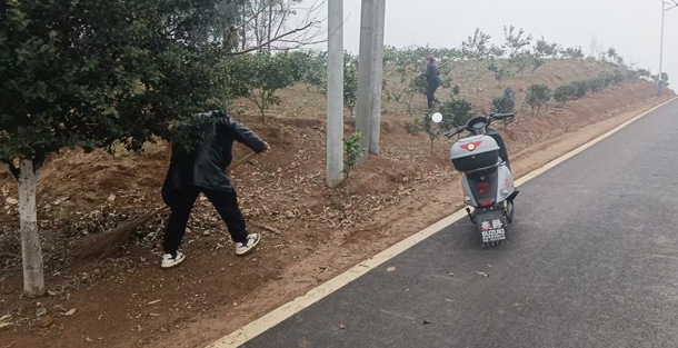 津市毛里湖镇：开展环境卫生整治  绘就美丽新画卷