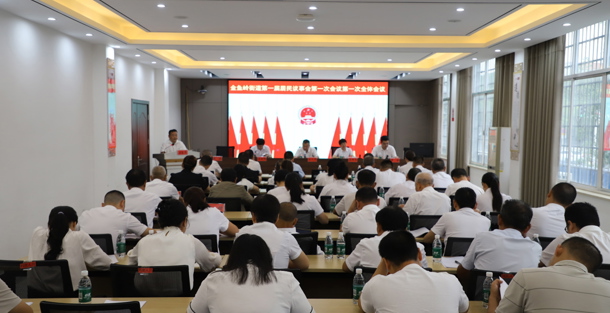 金鱼岭街道第一届居民议事会召开