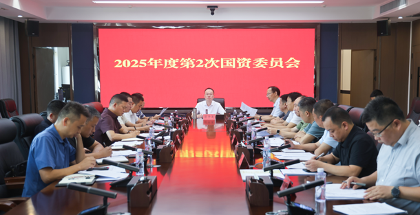 彭子晟主持召开2025年度第2次国资委员会议