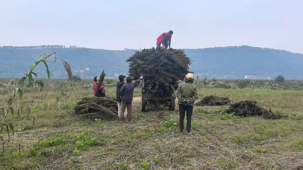 微信图片_2025-10-31_152634_661