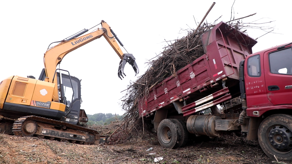 微信图片_2025-11-07_144455_836