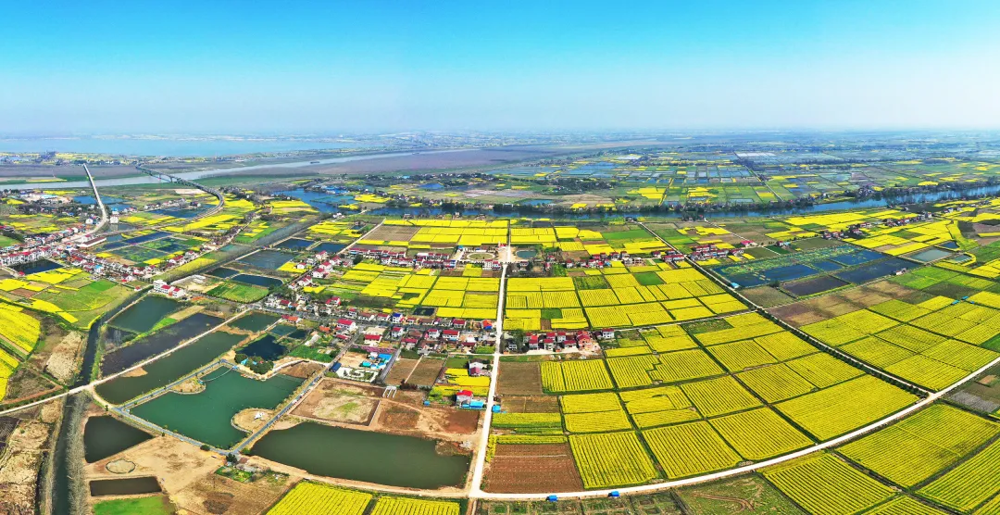 微信图片_2025-12-05_110812_941