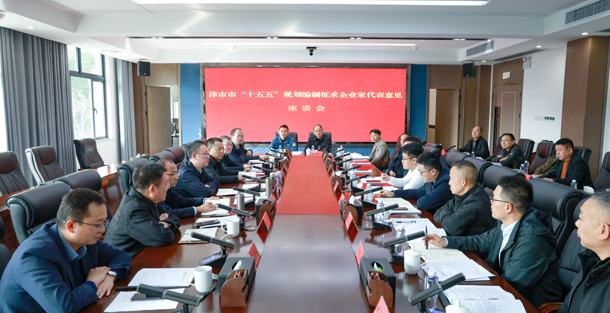 彭子晟主持召开津市市“十五五”规划编制征求企业家代表意见座谈会