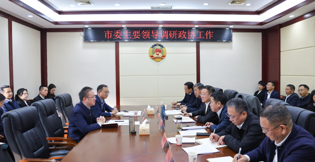 彭子晟调研市政协工作