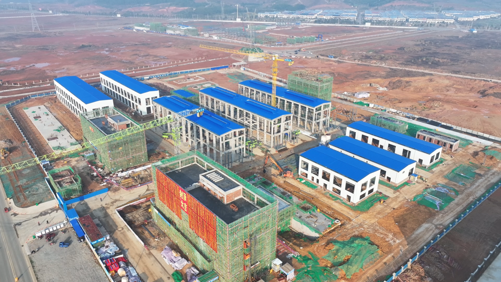 微信图片_2026-01-12_101007_342