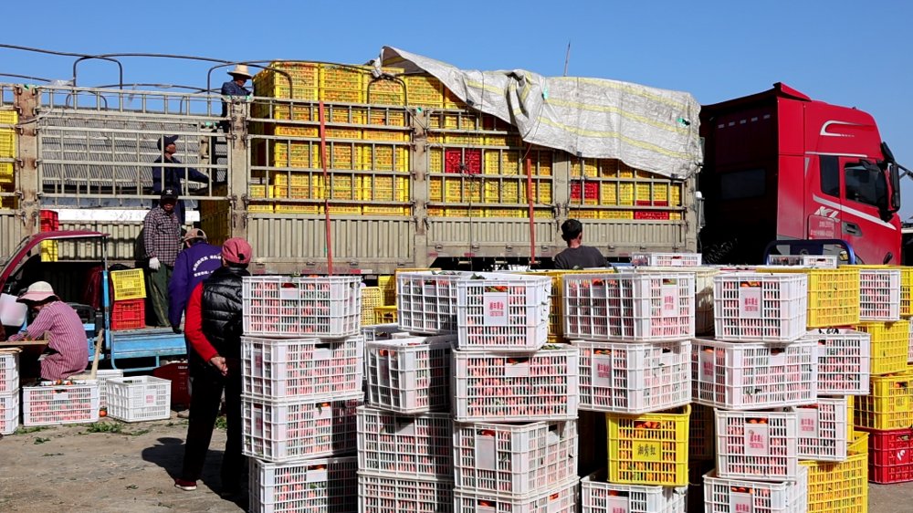 微信图片_2026-01-14_085215_462