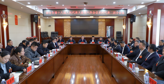 津市市第十八届人民代表大会第六次会议各代表团举行分团活动