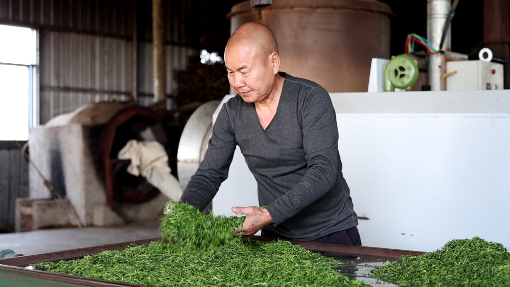 微信图片_2026-04-08_144910_723