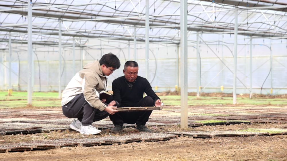 微信图片_2026-04-08_144910_723