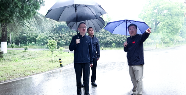 彭子晟调研文旅产业发展及街区精细化管理工作