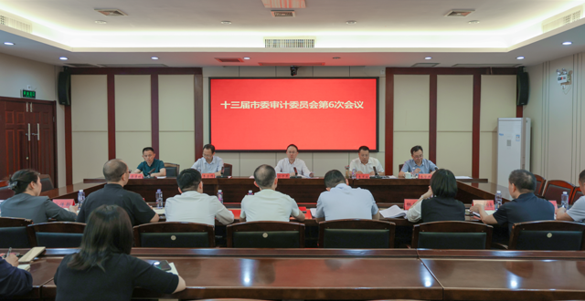 十三届市委审计委员会第6次会议召开