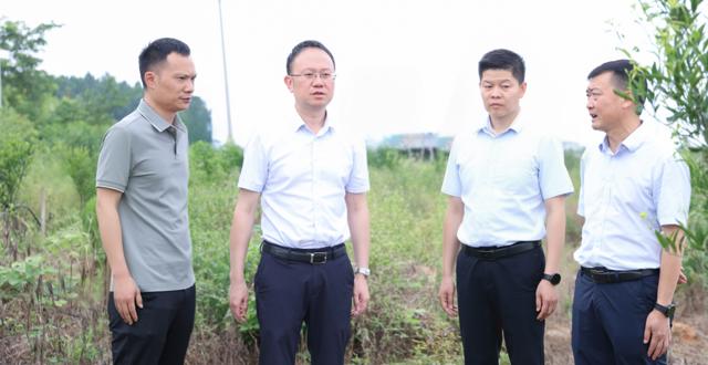彭子晟调研督导学习教育查摆问题整改情况及乡村振兴工作