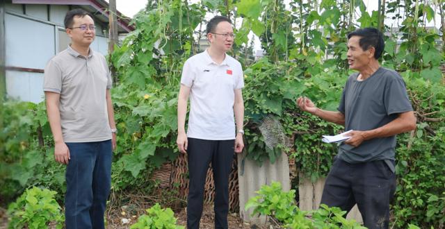 彭子晟调研督导乡村振兴及防汛备汛工作
