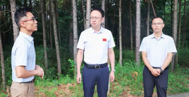 彭子晟调研督导乡村振兴及安全生产工作