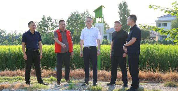 彭子晟调研督导农业重点工作及农村生态环保工作