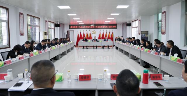 津市市第十九届人民代表大会第一次会议举行各代表团分团活动