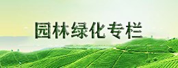 园林城市专栏